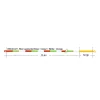 Loomis & Franklin XP Sense Fly Line Euro Nymph #0-5 23,4+1m Camou Fliegenhauptschnur