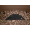 Delphin C3 LUX ClimaControl Carpath Zelt