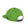 Delphin - RAWER SnapBack - Baseballkappe - Frühjahrskleidung, Sommerkleidung - Mützen