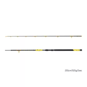Delphin HAZARD BxG 255cm, 505g, 2-teilige Welsrute
