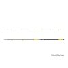 Delphin HAZARD BxG 310cm, 505g, 2-teilige Welsrute