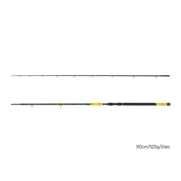 Delphin HAZARD BxG 310cm, 505g, 2-teilige Welsrute