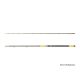 Delphin HAZARD BxG 310cm, 505g, 2-teilige Welsrute