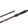 Delphin Etna Legend4ry 2-teilige Boilie-Rute 3,80m