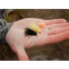 Delphin Fly Pond Trout Fliegen-Set 10 Stk.