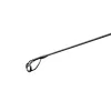 Delphin StingRay 3,00m 3,0lbs 2-teilige Karpfenrute