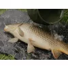 Delphin CarpMat Banx Camo Karpfenmatte 90x50cm