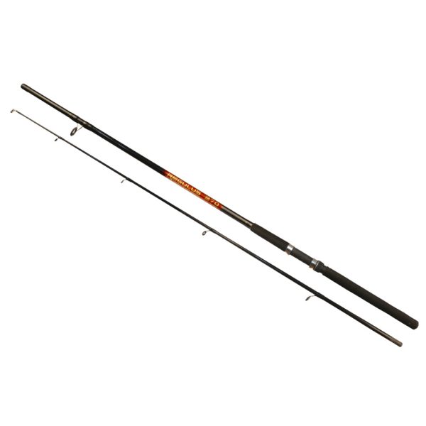 Arno Regulus Rod 2,70m 40-80gr 2-teilige Spinnrute