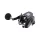 Daiwa 23 Leobritz JL 300 Multirolle