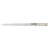 Daiwa Morethan Shad Attack Baitcast 2,10m 14-42gr 2-teilige Spinnrute