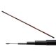 Carp Expert Evolution Power Pole 6m 5-35gr Kopfrute