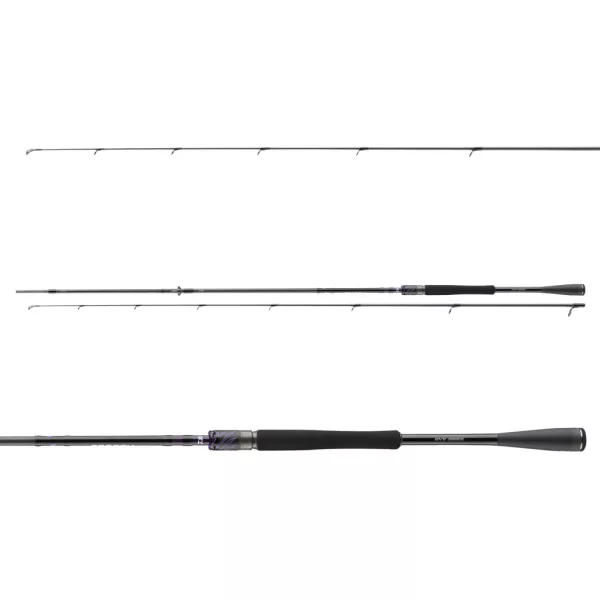 Daiwa Prorex AGS Spin 2,50m 28-70gr 2-teilige Spinnrute