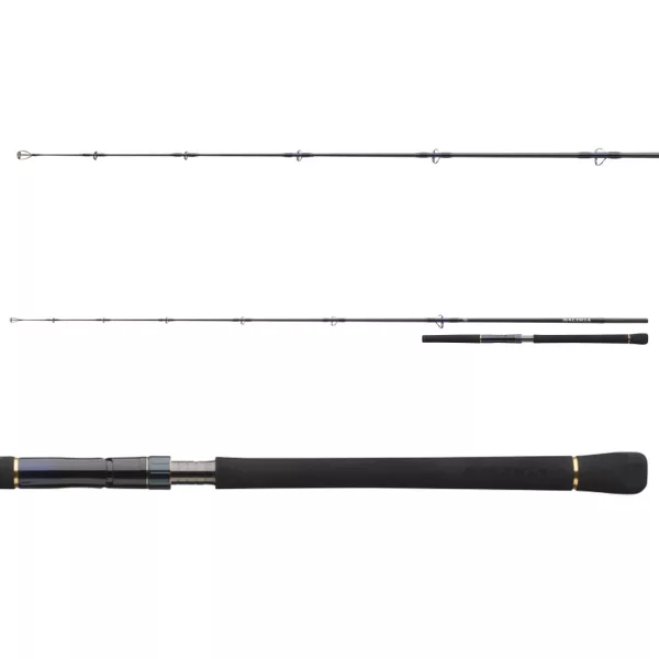 Daiwa Saltiga Light Game 2,40m 40-110gr 1+1-teilige Meeres-Spinnrute
