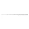 Daiwa Saltiga Light Game 2,40m 40-110gr 1+1-teilige Meeres-Spinnrute