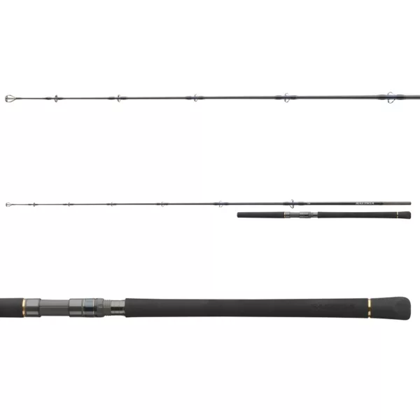 Daiwa Saltiga Popper 2,40m 120-165gr 1+1-teilige Meeres-Spinnrute