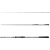 Daiwa Exceler Jiggerspin 3,05m 3-18gr 2-teilige Spinnrute