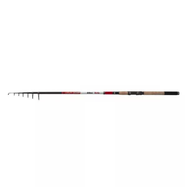 CarpExpert Uni Tele Teleskoprute 330cm 80-120gr - Kork EVA Angelrute