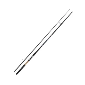 Kamasaki Big Fish 3,00m 100-200gr 2-teilige Welsrute