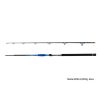 Delphin Hazard 2,55m 500gr 2-teilige Welsrute