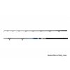 Delphin Hazard 2,55m 500gr 2-teilige Welsrute