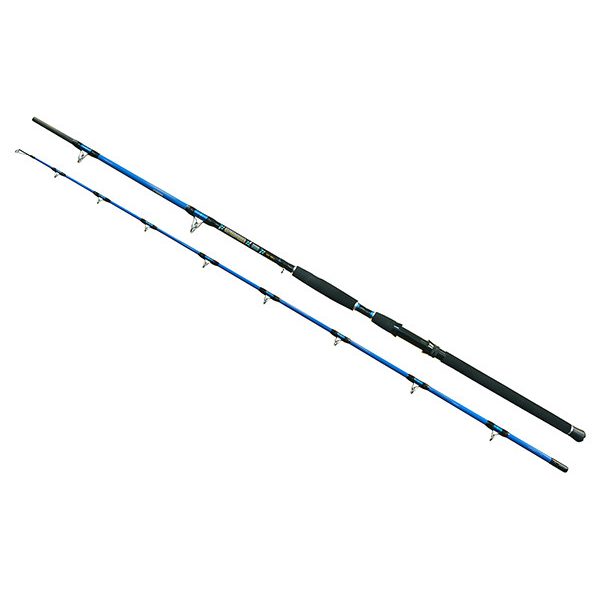 Wizard Cat Pro Power 2-teilig 800-1000gr 3,00m Welsrute