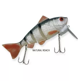   Rapture Dancer Perch Wobbler natürlicher Rotauge 16cm 60gr Wobbler