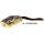 Rapture Popperfrosch 6cm 15gr Leop. Mud Gummifrosch