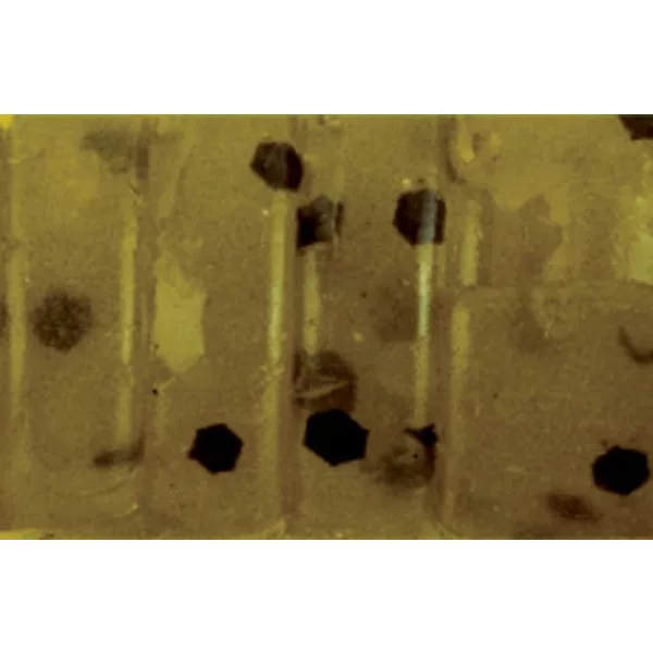 Rapture ULC Alien Craw 2.5cm 0,5gr Watermelon Gummiköder 12 Stk.