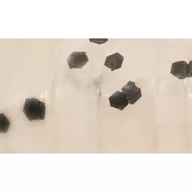   Rapture ULC Dragonfly Nymph 4,2cm 1gr Pearl Blue Weichgummiköder 8 Stück