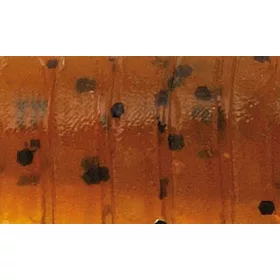   Rapture ULC Cricket 3,3cm 1gr Green Pumpkin BF Weichgummiköder 8 Stück