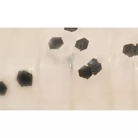   Rapture ULC Water Shrimp 6,2cm 1gr Pearl Blue Weichgummi Köder 8 Stk.