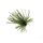Rapture TG Finesse Rub Jig 2,3gr #01 Watermelon Rock-Jig