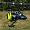 NEVIS Torrent Carp 6000 5+1BB Freilaufrolle