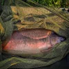 Carp Academy Specialist Karpfen-Kescherkopf 100x100cm mit Messohr