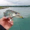 Reiva Ultra Strong Jig Head 1-7gr 4Stk/Pckg Jigkopf