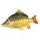 Fischkissen Karpfen