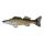 Fischkissen Zander