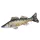 EnergoTeam Fischkissen Riesen Zander