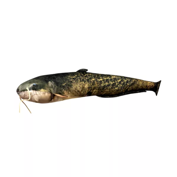 Fischkissen Wels