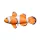 Fischkissen Nemo