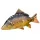 Fischkissen Riesenkarpfen