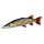 Fischkissen Riesenhecht