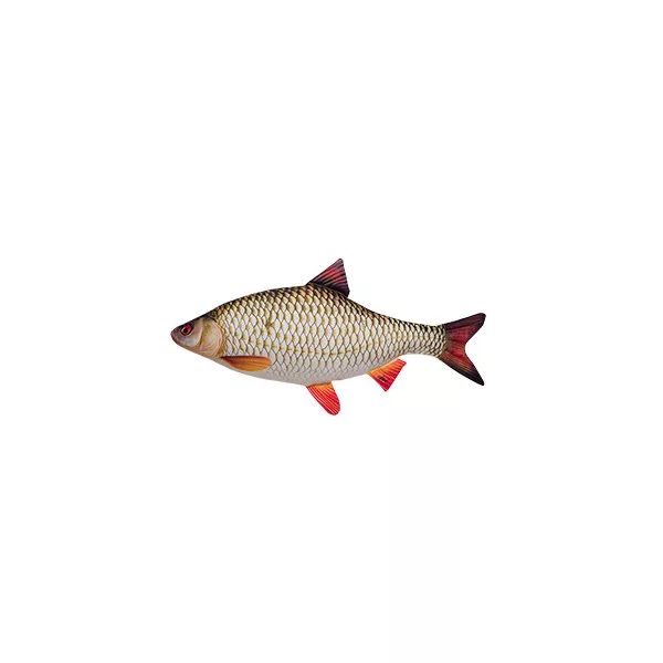 FISCHKISSEN ROTAUGE