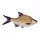 Fischkissen Brasse 34Cm