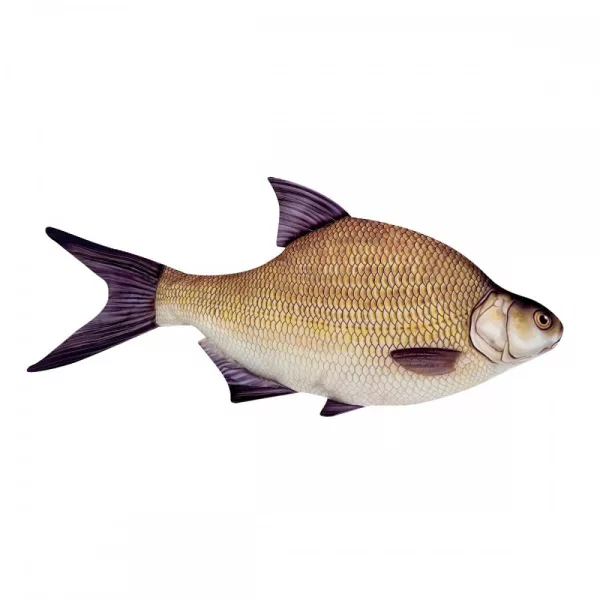 Fischkissen Brasse 34Cm
