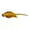 EnergoTeam Fischkissen Rochen Baby 50cm