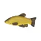 EnergoTeam Fischkissen Schleie 60cm