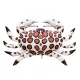 EnergoTeam The Calico Crab 60cm Fischkissen