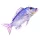 EnergoTeam The Dentex 80cm Fischkissen