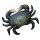 EnergoTeam The Mud Crab 60cm Fischkissen
